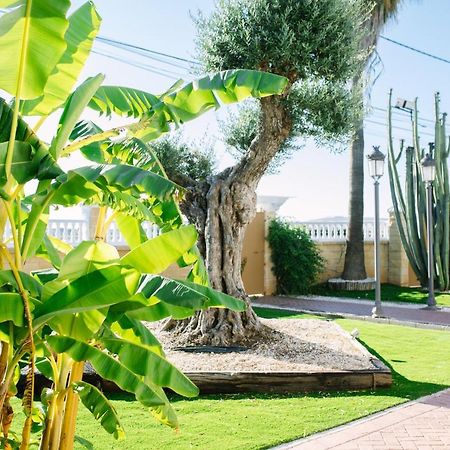 בית הארחה Casa Luxury "El Olivo De Cordoba" Con Jacuzzi Y Parking Privado מראה חיצוני תמונה