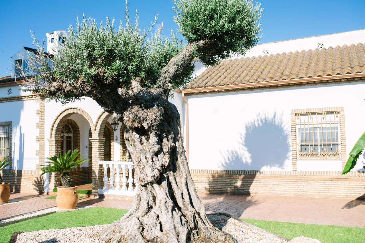 בית הארחה Casa Luxury "El Olivo De Cordoba" Con Jacuzzi Y Parking Privado מראה חיצוני תמונה