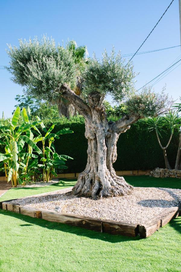 בית הארחה Casa Luxury "El Olivo De Cordoba" Con Jacuzzi Y Parking Privado מראה חיצוני תמונה