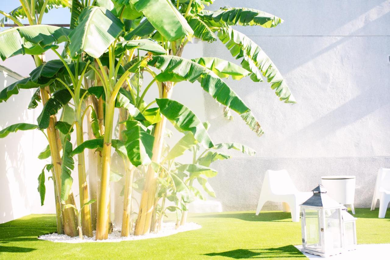 בית הארחה Casa Luxury "El Olivo De Cordoba" Con Jacuzzi Y Parking Privado מראה חיצוני תמונה